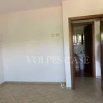 Rent 2 bedroom apartment of 45 m² in Mentana