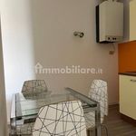 2-room flat excellent condition, ground floor, Centro, Badia Polesine