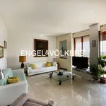 Rent 5 bedroom apartment of 165 m² in Monza