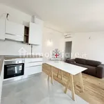 Rent 2 bedroom apartment of 58 m² in Milan