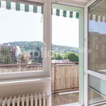 Rent 3 bedroom apartment of 76 m² in Brno