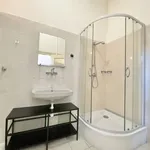 Rent 1 bedroom apartment in Brno