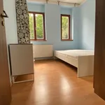 Pronajměte si 3 ložnic/e byt o rozloze 175 m² v Prague