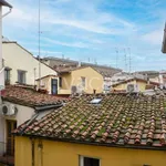 Rent 1 bedroom apartment of 40 m² in Firenze