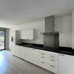 Rent 1 bedroom apartment of 102 m² in Haarlem