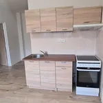 Pronajměte si 1 ložnic/e byt o rozloze 38 m² v Větřní