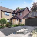 Rent 5 bedroom house in South East England