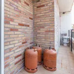 Rent a room of 80 m² in valencia