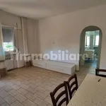 Rent 3 bedroom apartment of 82 m² in Pomezia