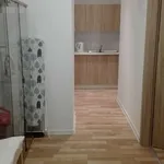 Rent a room in katowice