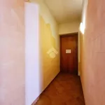 Rent 2 bedroom apartment of 34 m² in Palermo