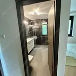 Rent 3 bedroom apartment of 80 m² in budapest