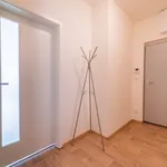 Rent 1 bedroom apartment of 46 m² in Brno