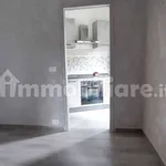 Rent 2 bedroom apartment of 50 m² in Turin