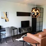 Rent 1 bedroom apartment of 37 m² in berlin