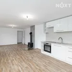 Rent 4 bedroom apartment in Plzeň-jih