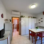 Rent 2 bedroom apartment of 40 m² in Cervia