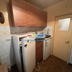 Rent 2 bedroom apartment of 50 m² in Pitești