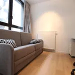 Rent 1 bedroom apartment in brussels