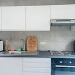  appartement avec 1 chambre(s) en location à Gent