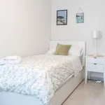 Rent a room in madrid