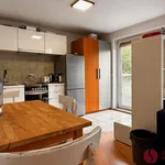 Rent 1 bedroom apartment of 37 m² in Poznan