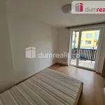 Rent 2 bedroom apartment of 34 m² in Prague