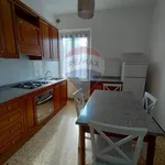 Rent 3 bedroom apartment of 67 m² in Perugia