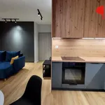 Rent 1 bedroom apartment of 31 m² in Poznan