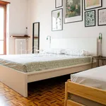 Rent 2 bedroom apartment of 55 m² in Torino