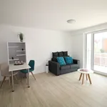 Rent 1 bedroom apartment of 28 m² in Nürnberg