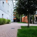 Rent 1 bedroom apartment of 45 m² in Brno