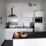 Rent 1 bedroom apartment in Bruges