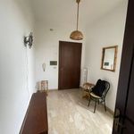 Rent 2 bedroom apartment of 60 m² in Lecce