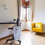 Rent a room in padua