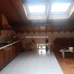 Rent 1 bedroom apartment of 35 m² in Cremona