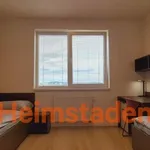 Rent 1 bedroom apartment of 28 m² in Plzeň