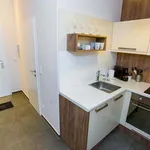 Rent 1 bedroom apartment of 377 m² in vienna