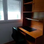 Rent 4 bedroom apartment in Coimbra