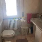 Rent 2 bedroom apartment of 50 m² in Ancona