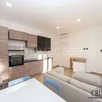 Rent 2 bedroom apartment of 48 m² in Carate Brianza