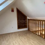 Rent 1 bedroom house of 200 m² in Pardubice