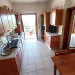 Rent 5 bedroom apartment of 140 m² in Frascati