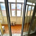 Rent 3 bedroom apartment of 85 m² in Campobasso