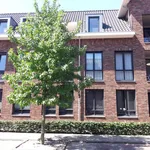 Rent 3 bedroom apartment of 71 m² in Gerardusplein