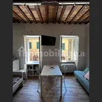 Rent 1 bedroom apartment of 30 m² in Siena