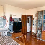 Rent 2 bedroom apartment of 60 m² in Padova