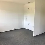 Rent 1 bedroom apartment of 27 m² in Tützpatz