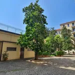 Rent 3 bedroom apartment in Milan