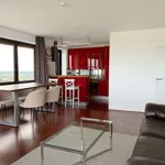 Rent 1 bedroom apartment of 67 m² in hamburg